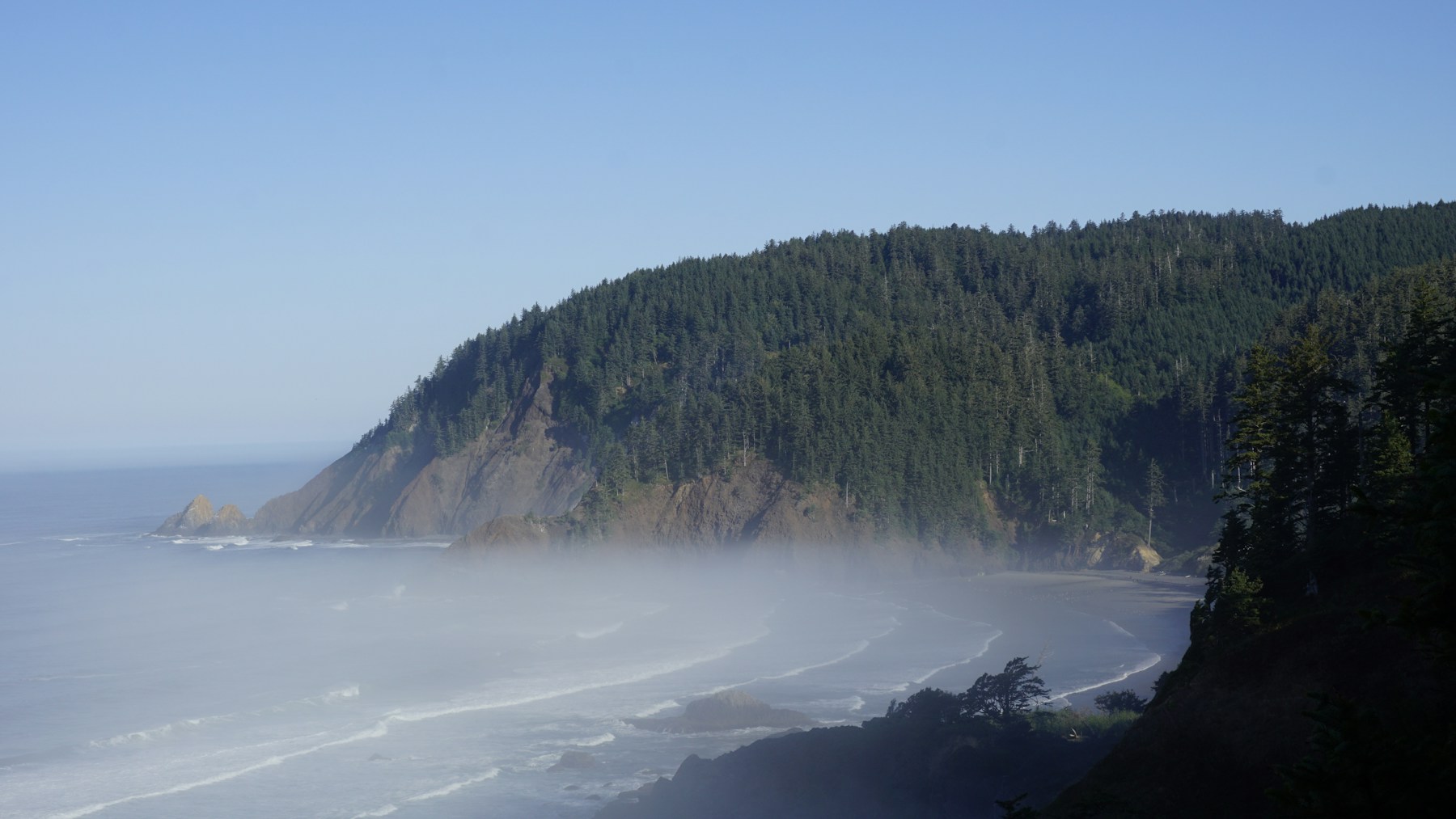 Sea mist drifts along a forested coastline, with gentle waves unfolding toward the shore