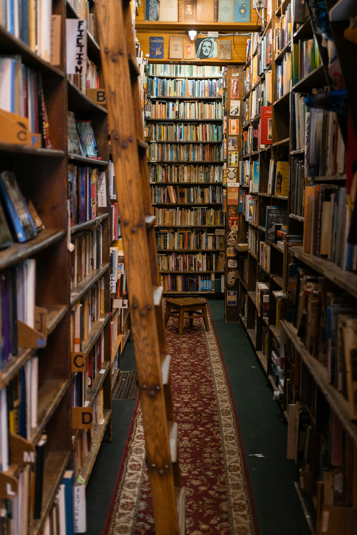 The paper ladder
