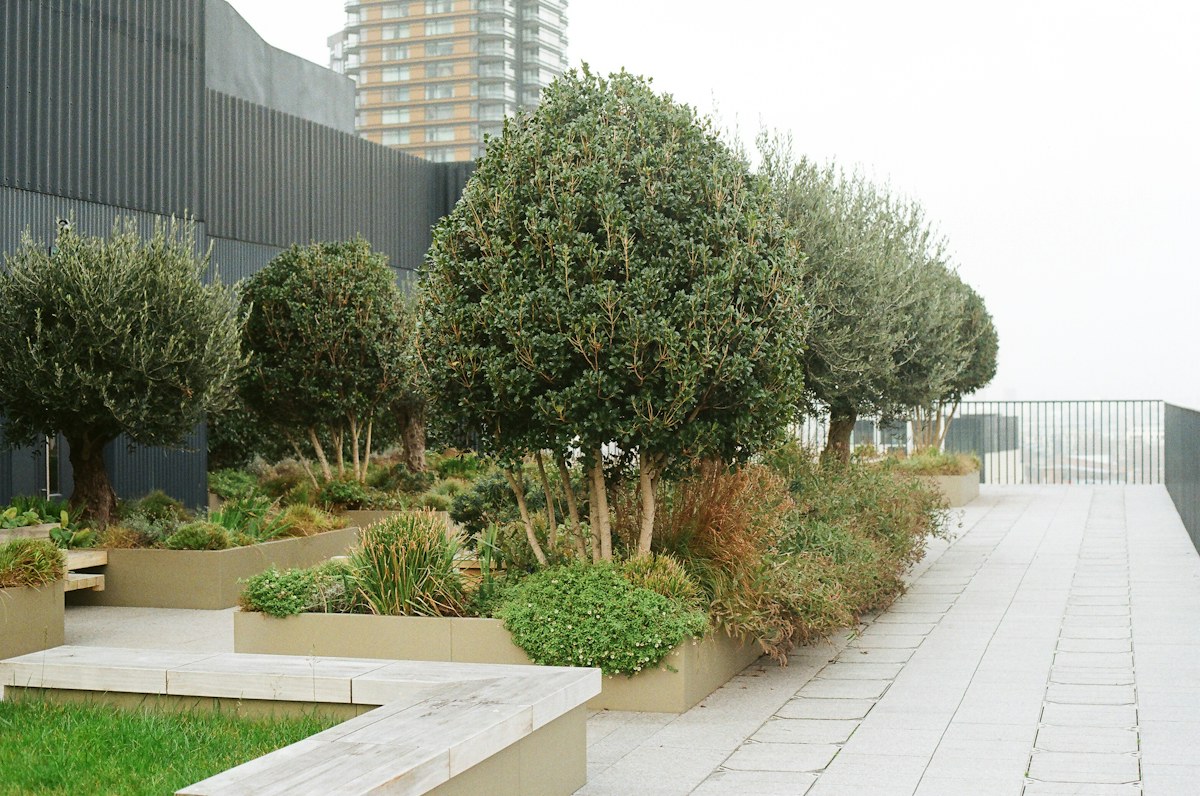 The pot beside the water tank