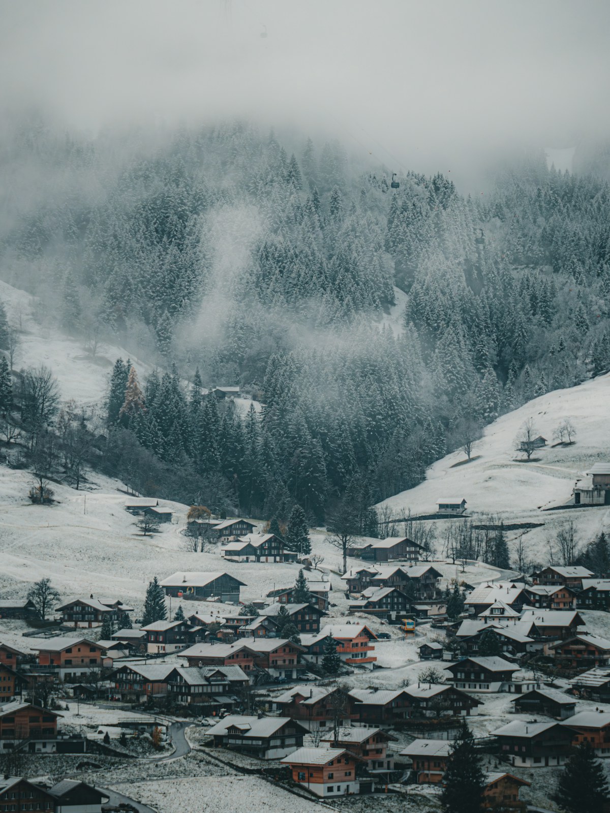 Lanterns after snowfall